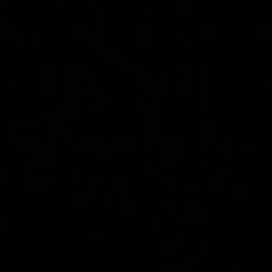 Meet your Posher, Nina